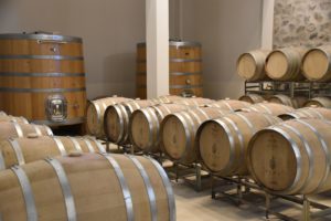 VIVÍ LA EXPERIENCIA BODEGA PUNA