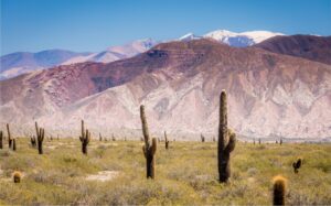 CABALGATA ENCUENTRO DE DOS VALLES