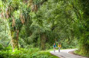 VUELTA AL NORTE EN MOUNTAIN BIKE
