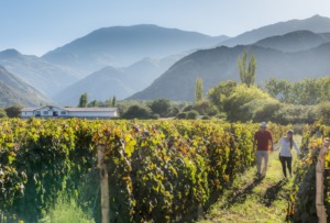 TRINITY WINE EXPERIENCE