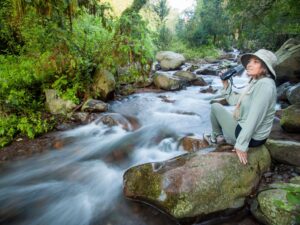 CAMINATAS POR LA QUEBRADA DE SAN LORENZO