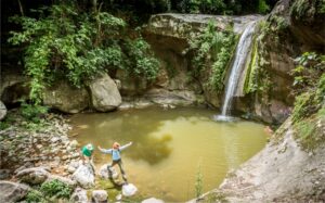 SENDERISMO POR LA SELVA DE MONTAÑA