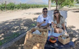 PICNIC BAJO LOS ÁRBOLES