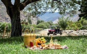 PICNIC EN LOS JARDINES DE PIATELLI VINEYARDS