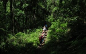 TREKKING AL CORAZÓN DE LAS YUNGAS