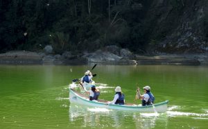 PASEOS Y TRAVESÍAS EN CANOAS POR EL BERMEJO