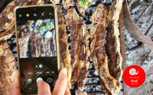 SALTEÑO POR UN DÍA