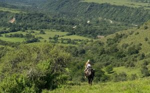 CABALGATA DÍA ENTERO