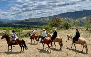 CABALGATA MEDIO DÍA