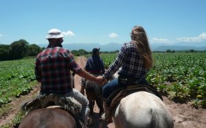 CABALGATA DÍA COMPLETO EN CHICOANA
