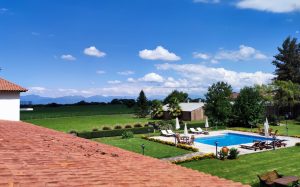 RAÍCES DEL VALLE: JORNADA DE ESTANCIA EN FINCA LAS MARGARITAS